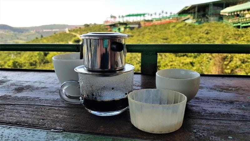 Vietnamese coffee at the coffee plantation and Weasel farm in Da Lat