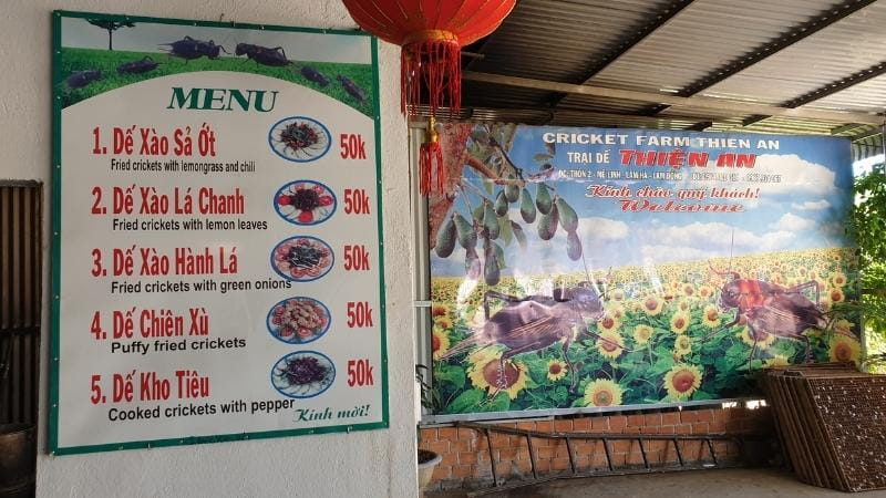 Cricket farm menu in Da Lat