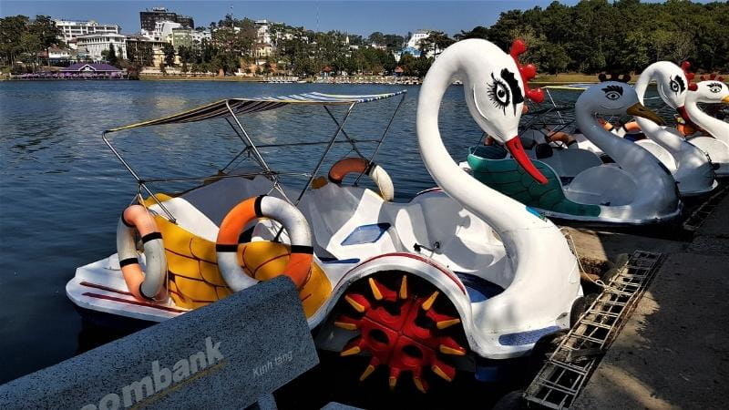 Swan paddle boats for hire on Xuan Huong Lake Da Lat Vietnam